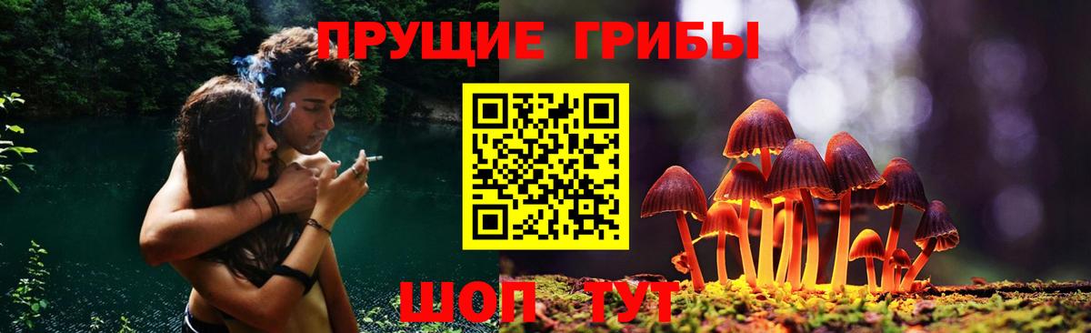 Галлюциногенные грибы Cubensis  цены   Владимир  Вход с VPN  Псилоцибиновые грибы мухоморы 